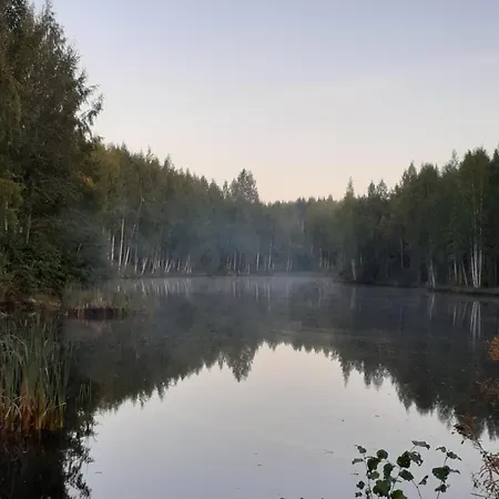 Hotel Enonkosken Kartano & 3*