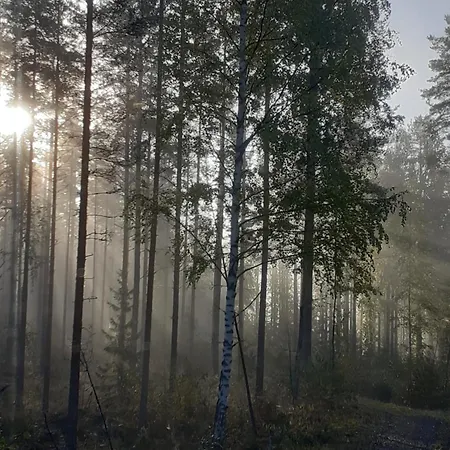 Enonkosken Kartano & Hotell 3*